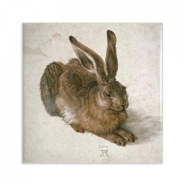 Trendform Gallery Magnet - Junger Feldhase - Dürer
