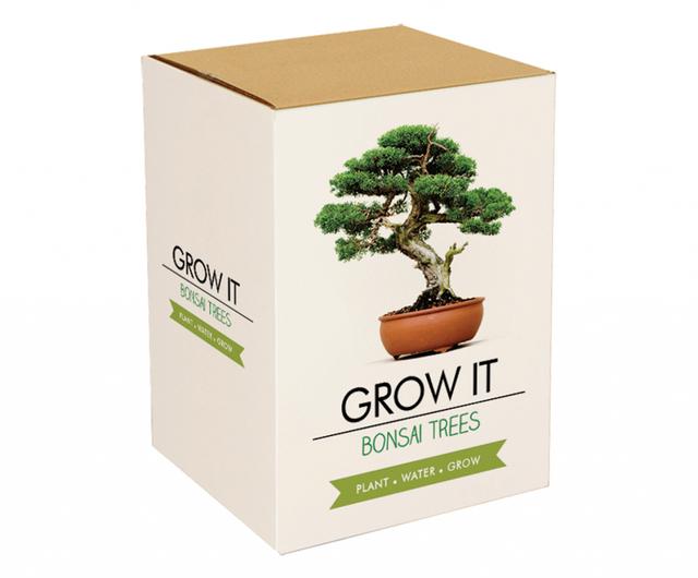 Gift Republic Grow It Kweekset - Bonsai Trees