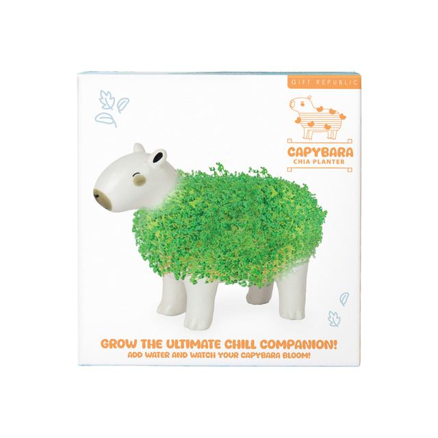 Gift Republic Plantenpot met chiazaden - Capybara