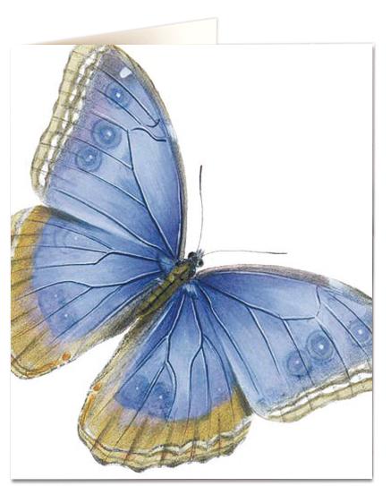 Archivist Cards Card - Pale Blue Butterfly