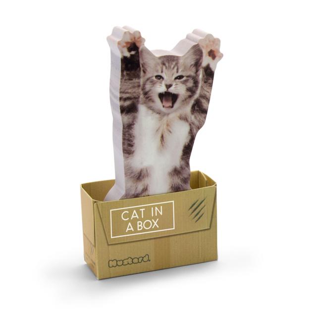 Mustard Post-it - Cat In A Box