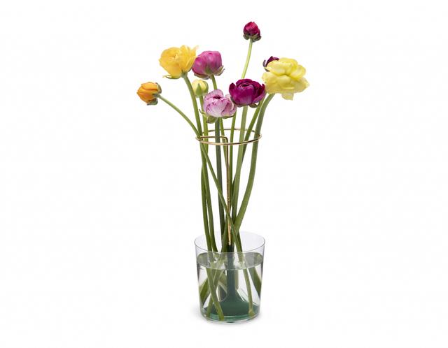 Peleg Design Bloemstandaard Invisivase