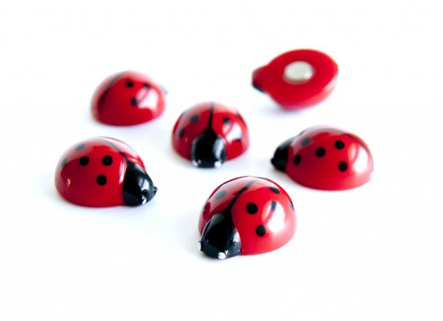 Trendform Magneten Ladybug - Set van 6