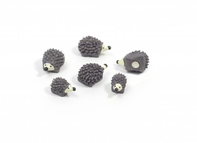 Trendform Magnet Hedgehog - set of 6 assorted