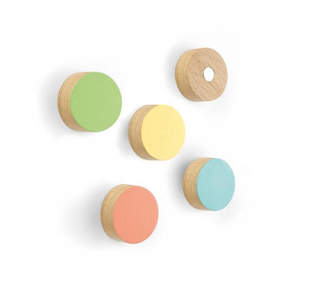 Trendform Magnet Timber Round - set of 5 assorted