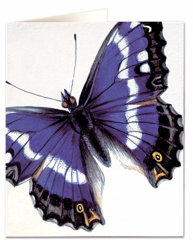 Archivist Cards Wenskaart - Purple Emperor