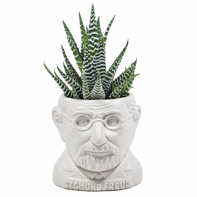 UPG Planter - Sigmund Freud
