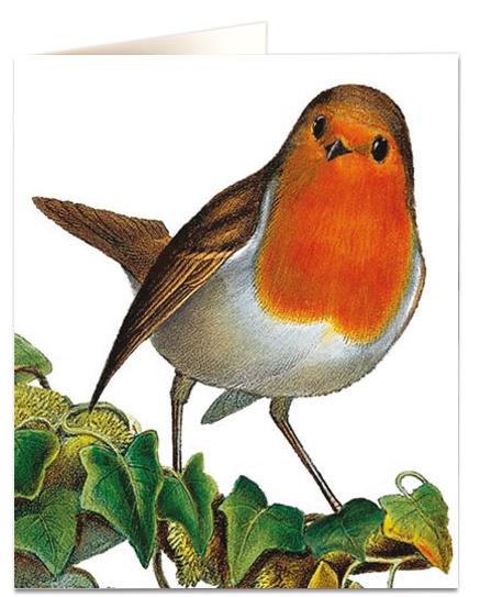 Archivist Cards Wenskaart - Robins