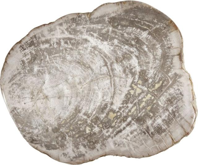 Fortessa Schaal versteend hout groot
