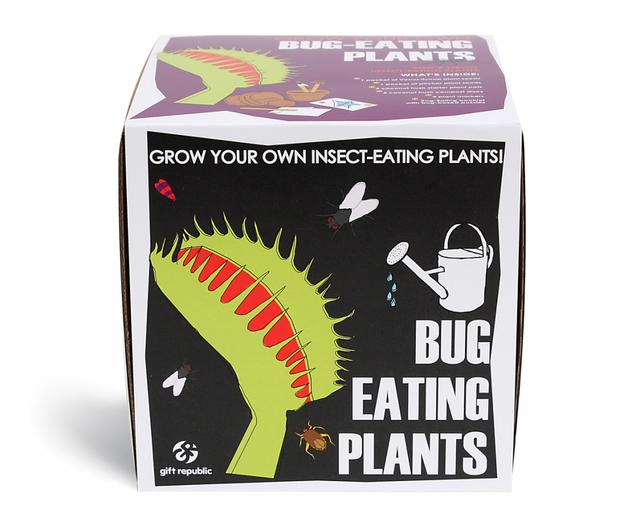 Gift Republic Sow & Grow Kweekset - Bug Eating Plants