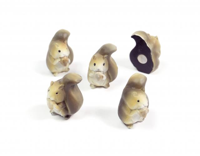Trendform Magnet Squirrel - set of 5 pcs