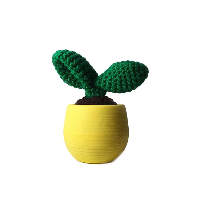Mustard Haakpakket - Cactus Leaf