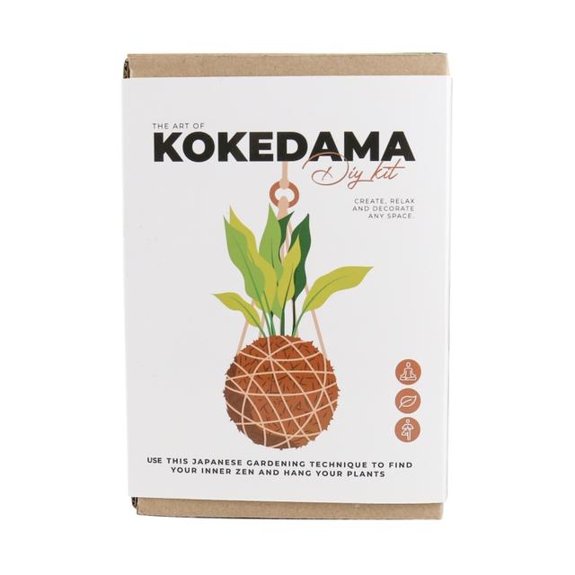 Gift Republic DIY kit - Kokedama