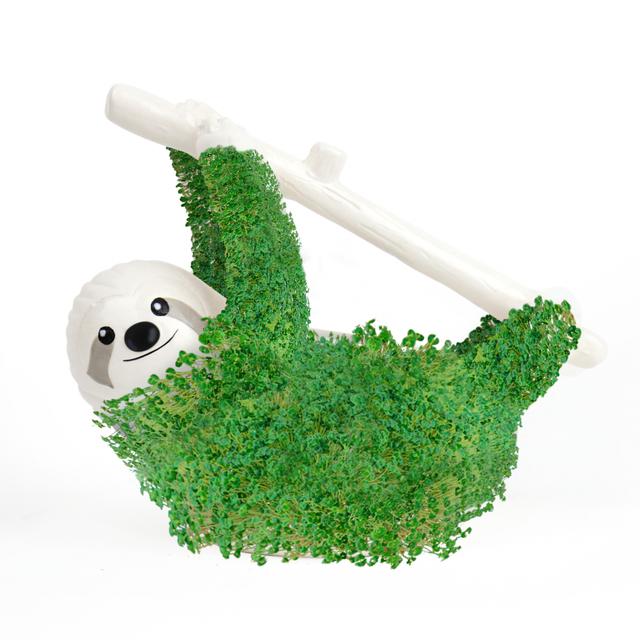 Gift Republic Plantenpot met chiazaden - Sloth