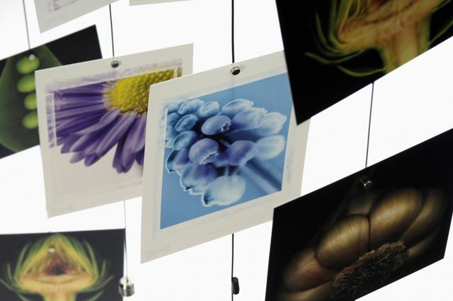 Trendform Steely Dan 200 cm - photo cord with 15 magnets