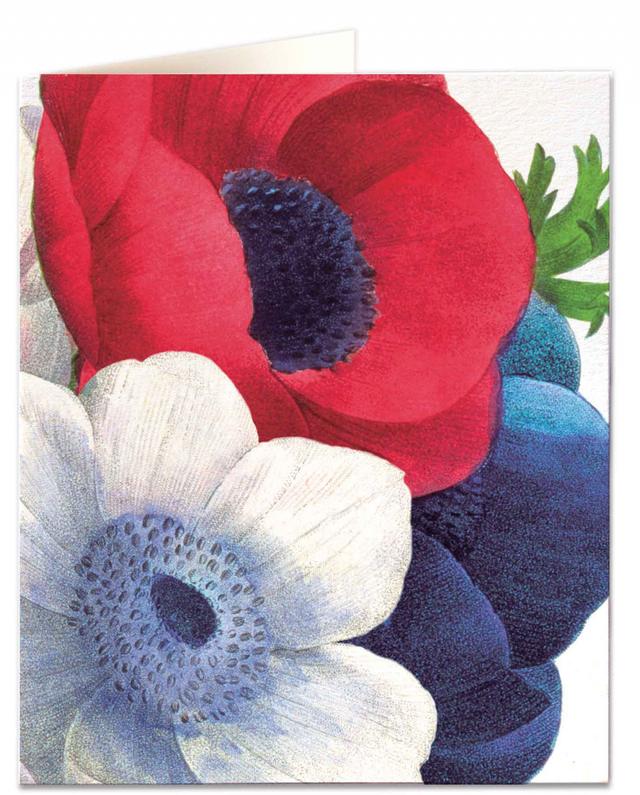 Archivist Cards Wenskaart - Anenome - Detailed