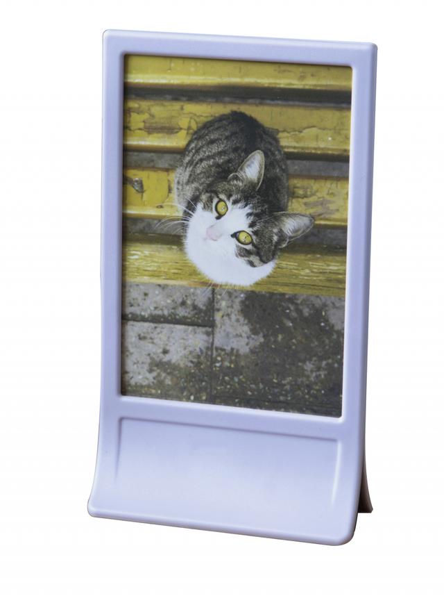 Peleg Design Fotolijst Clipic - Lila