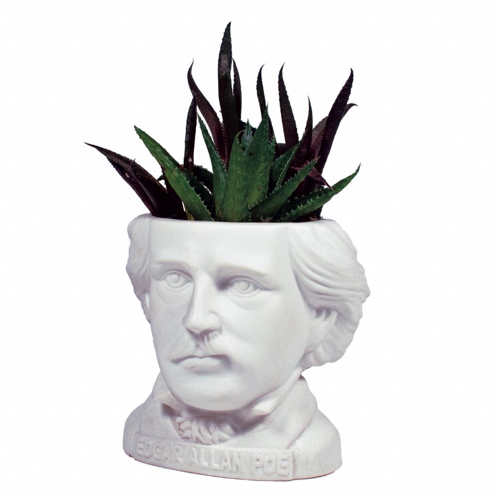/prodimg/fabegipt_1.jpg