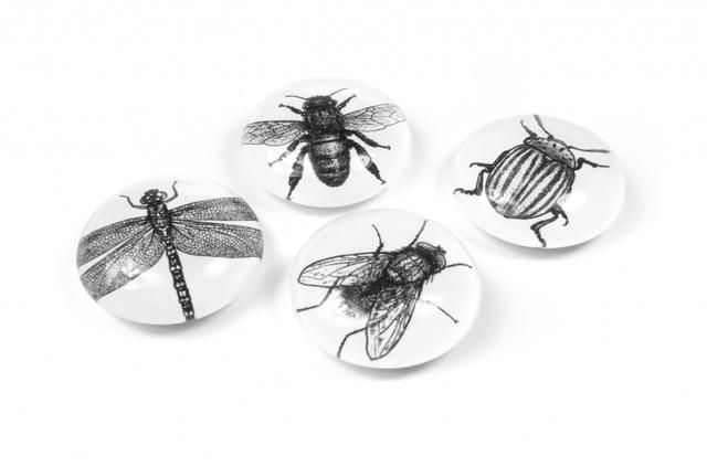 Trendform Magneten Magnet Eye - Bug - Set van 4 - Assorti