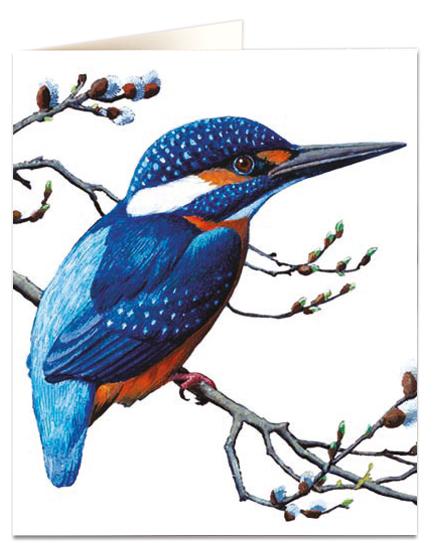 Archivist Cards Card - Kingfisher