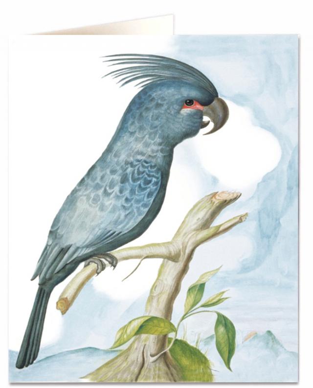 Archivist Cards Wenskaart - Asian Parrot