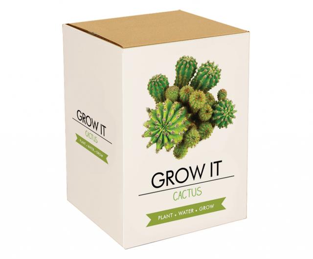 Gift Republic Grow It Kweekset - Cactus Plants