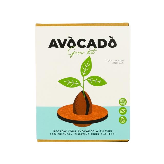 Gift Republic Grow It Kweekset - Avocado