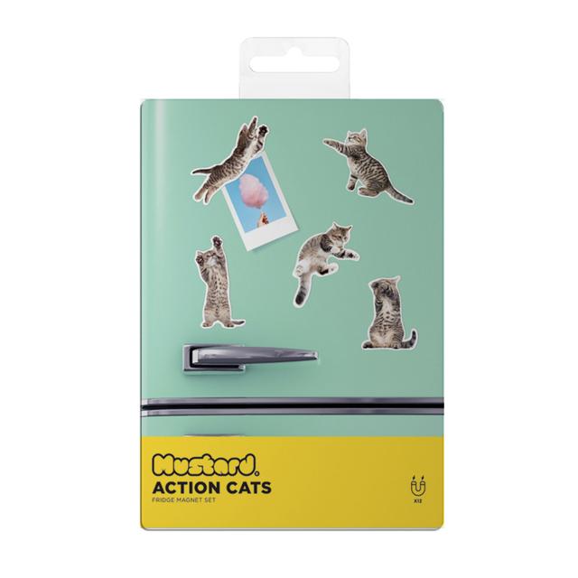 Mustard Action Cat Magnets - 12 pcs