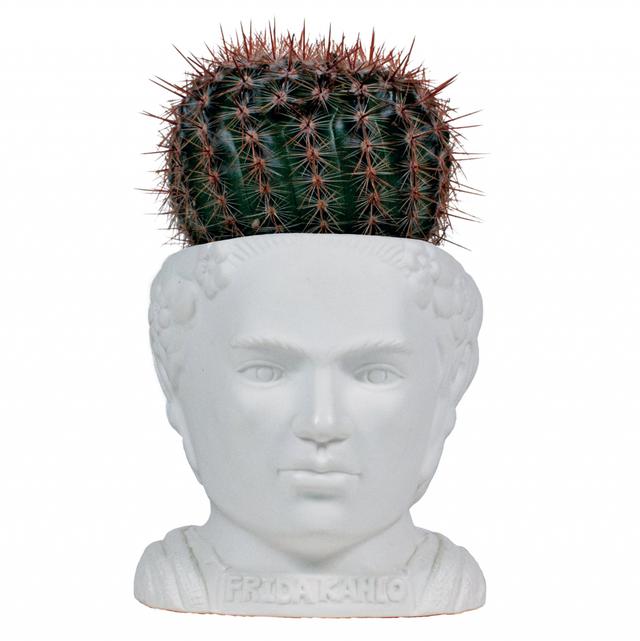 UPG Planter - Frida Kahlo