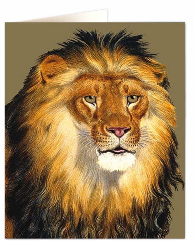 Archivist Cards Wenskaart - Lion