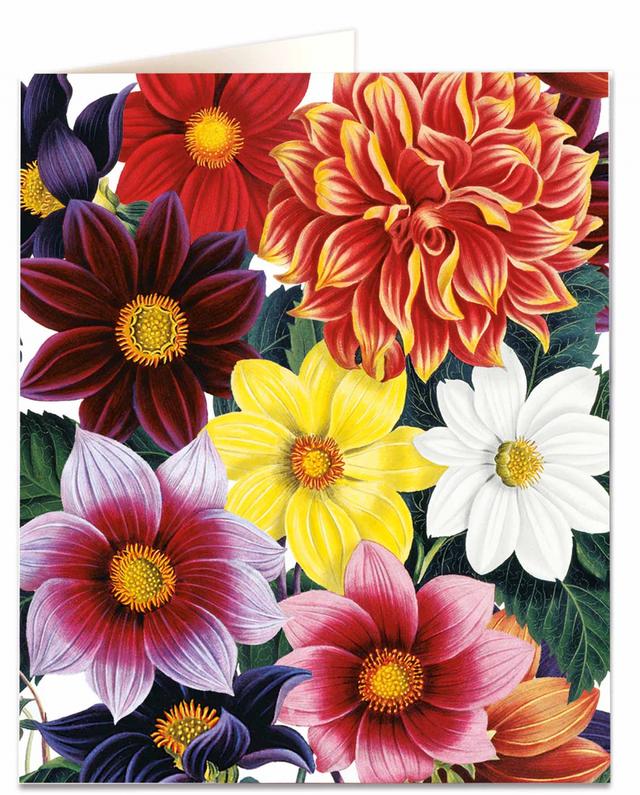 Archivist Cards Wenskaart - Dahlias