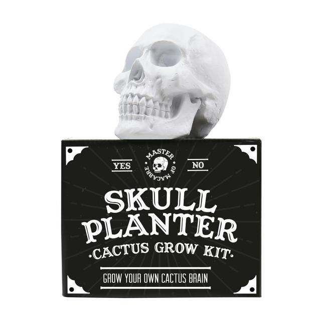 Gift Republic Plantenpot - Skull Planter Cactus