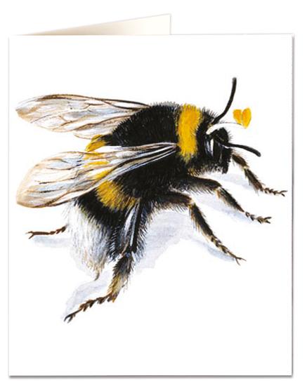 Archivist Cards Wenskaart - Bee