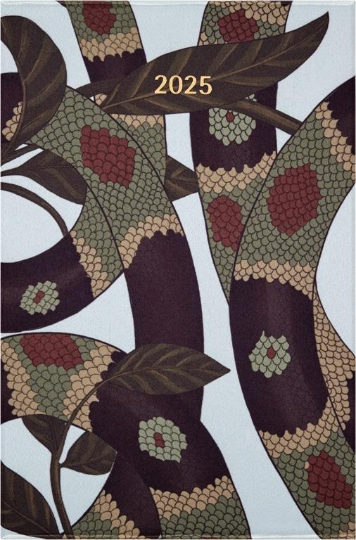 Moleskine Year of the Snake Weekagenda Large 12 maanden - Hardcover - Green (geschenkdoos)