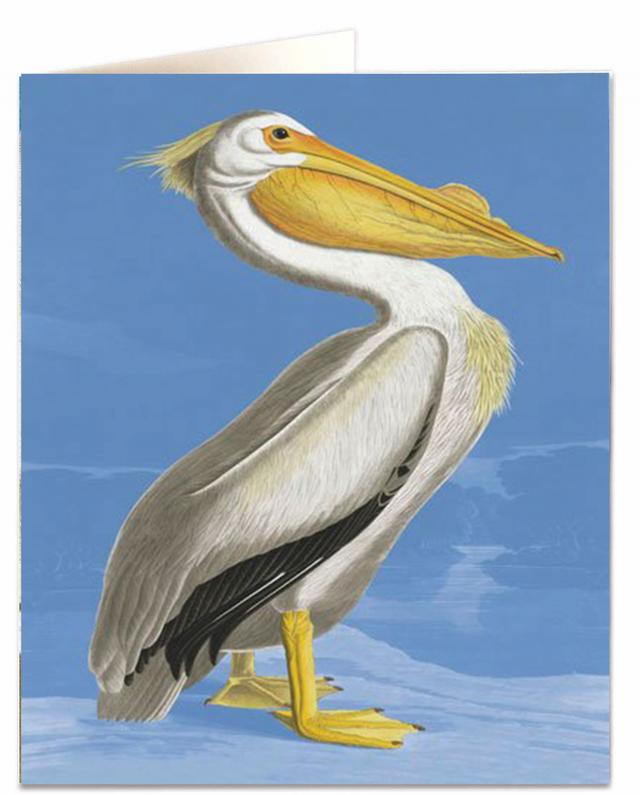 Archivist Cards Card - Pelican