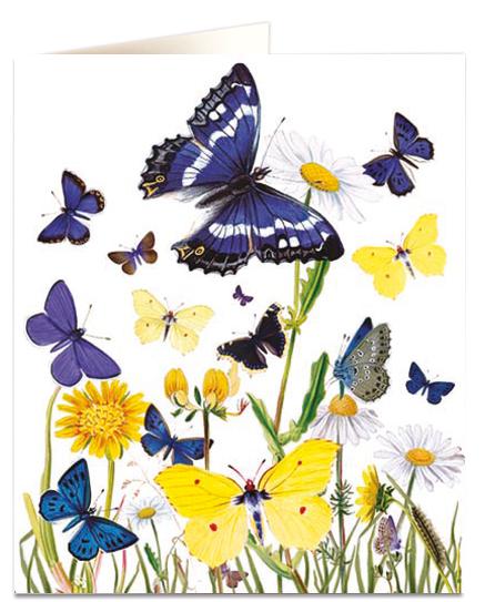 Archivist Cards Wenskaart - British Butterflies
