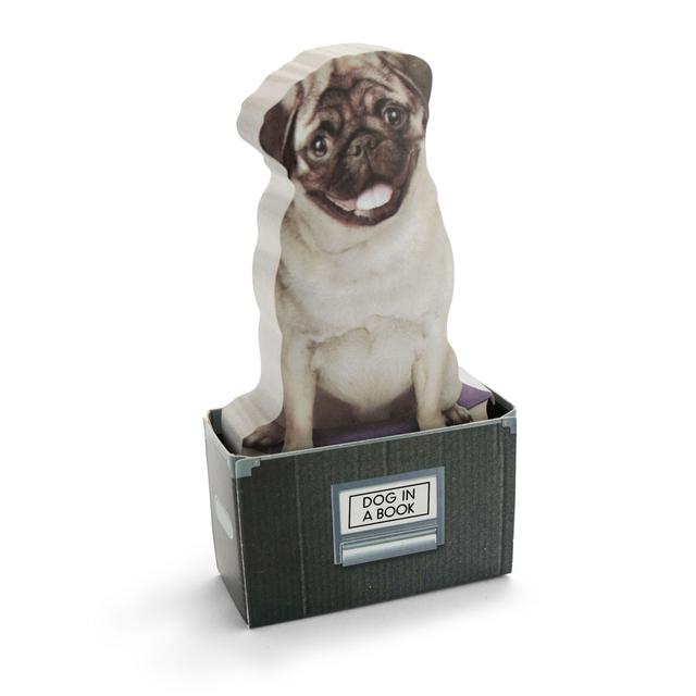Mustard Post-it - Dog In A Box
