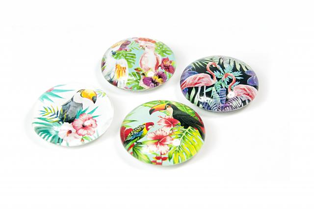 Trendform Magneten Magnet Eye - Jungle Bird - Set van 4 - Assorti