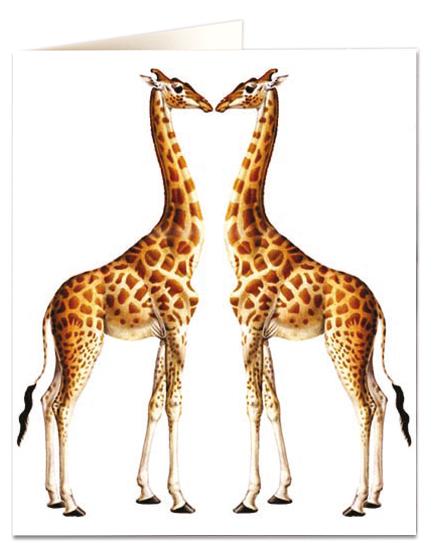 Archivist Cards Wenskaart - Giraffes