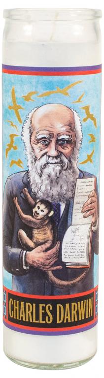 UPG Kaars - Charles Darwin