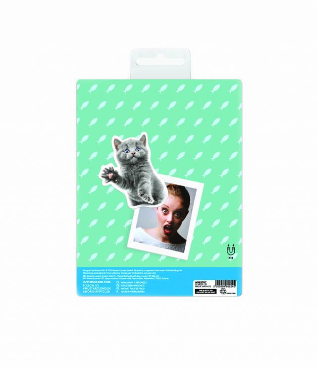 Mustard Scaredy Cat Magnets - 12 pcs
