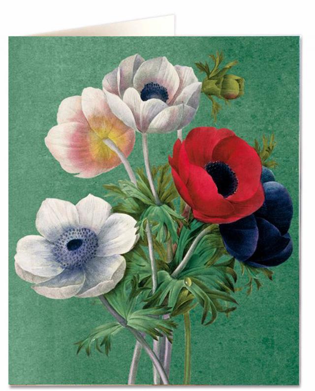Archivist Cards Wenskaart - Anenome - Full