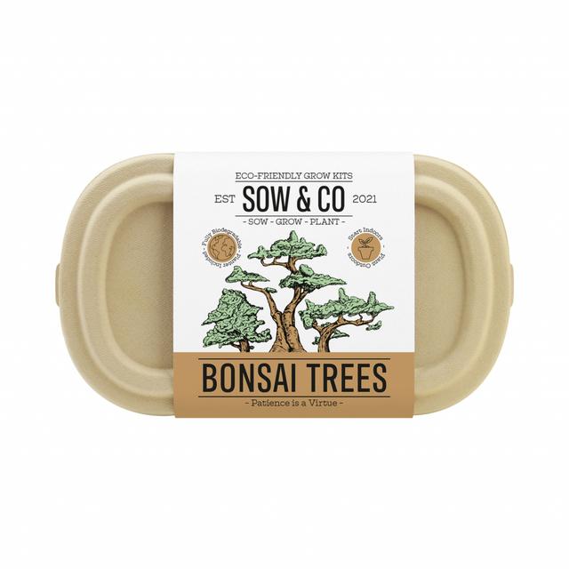 Gift Republic Sow & Co Kweekset - Bonsai Trees