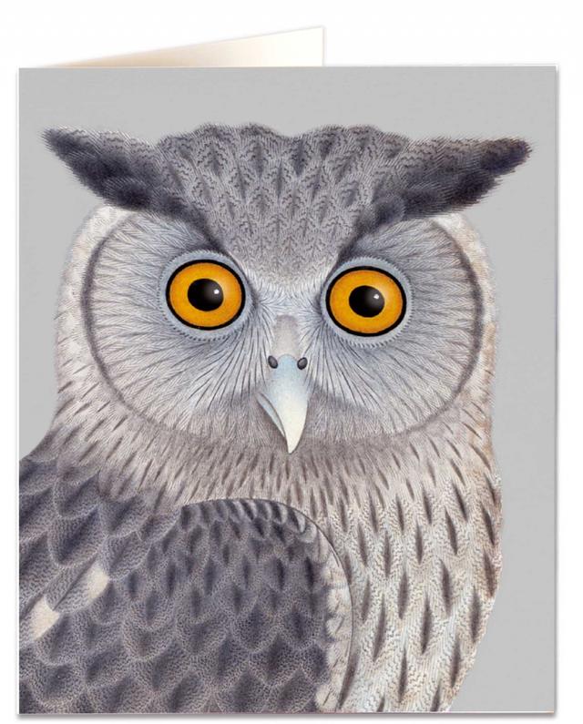 Archivist Cards Wenskaart - Dusky Eagle Owl