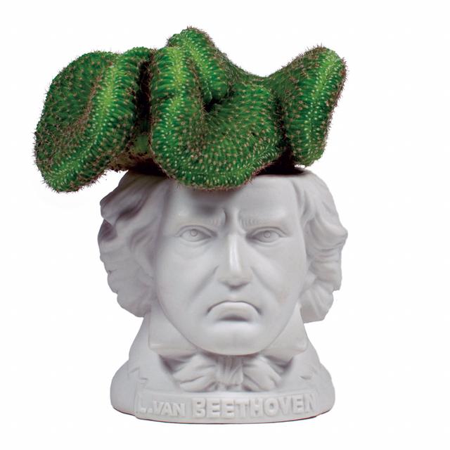 UPG Planter - Ludwig von Beethoven