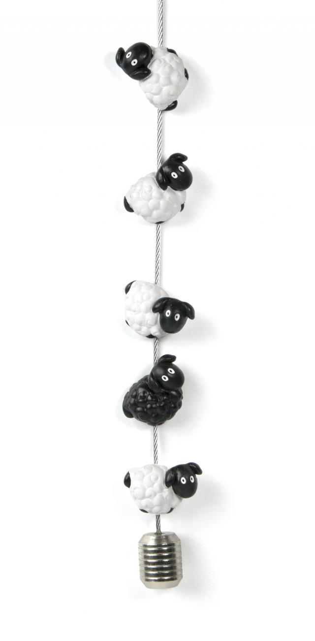 Trendform Photo cord Timi with 8 Magnets