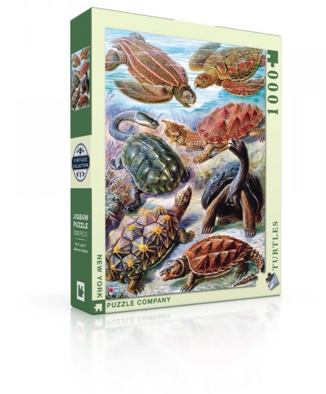 New York Puzzle Company Puzzel Turtles - 1000 stukjes