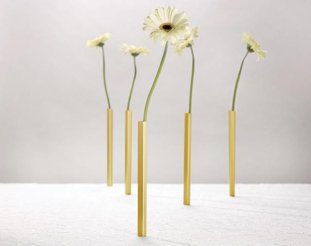 Peleg Design Vaas magnetisch set van 5 - Goud