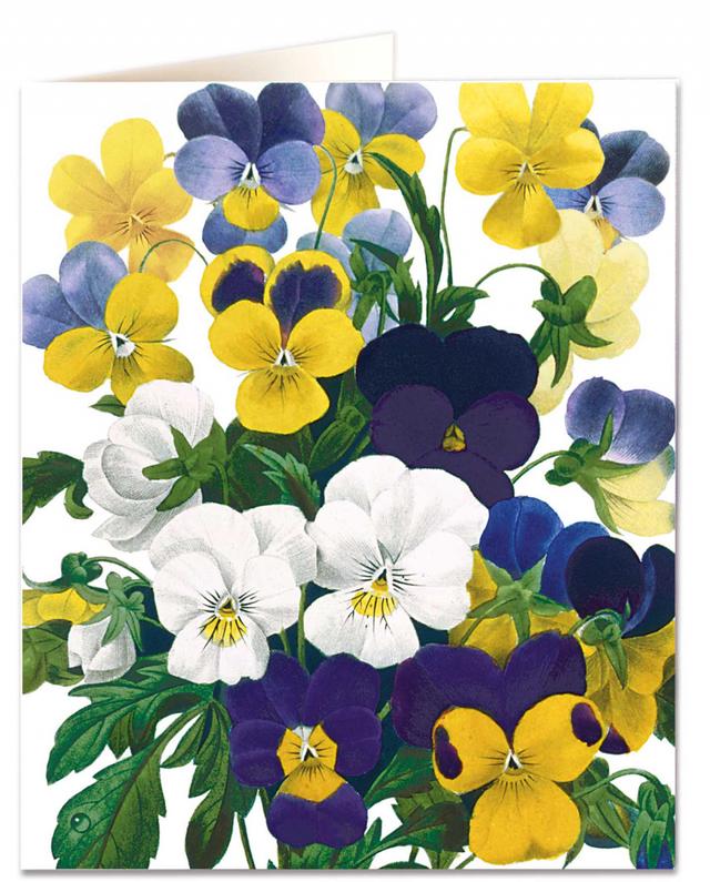 Archivist Cards Wenskaart - Violas