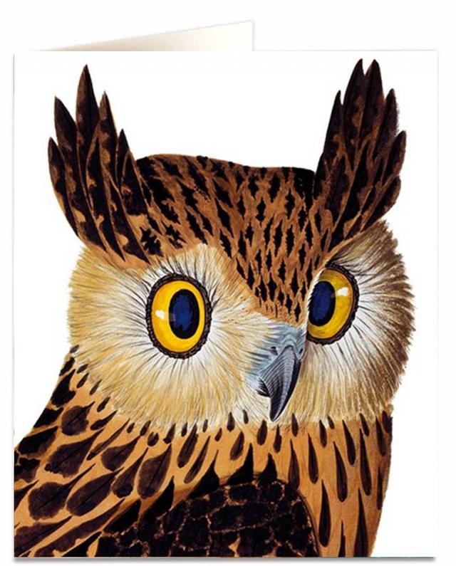 Archivist Cards Wenskaart - Tawny Fish Owl